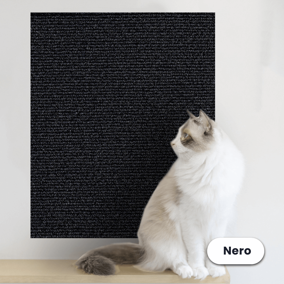 Protezione Adesiva dai Graffi dei Gatti