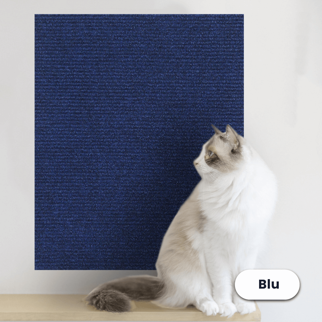 Protezione Adesiva dai Graffi dei Gatti