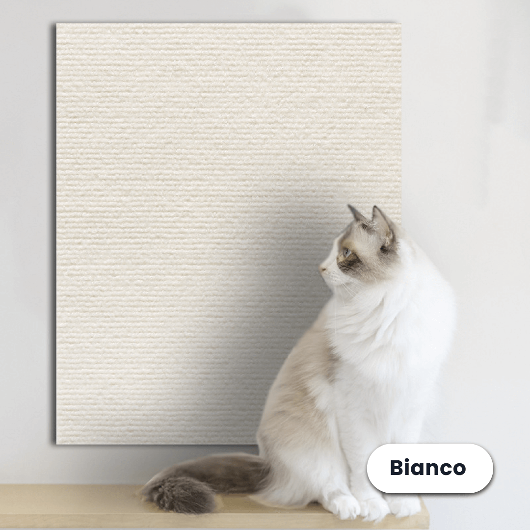 Protezione Adesiva dai Graffi dei Gatti