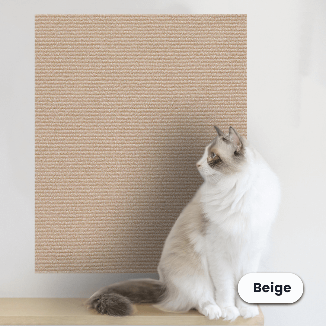 Protezione Adesiva dai Graffi dei Gatti