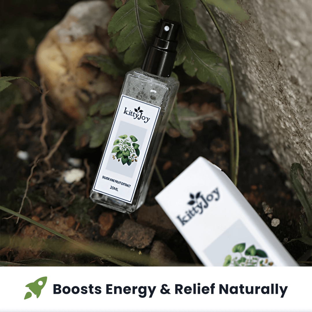 Virela Herbal Cat Joy
