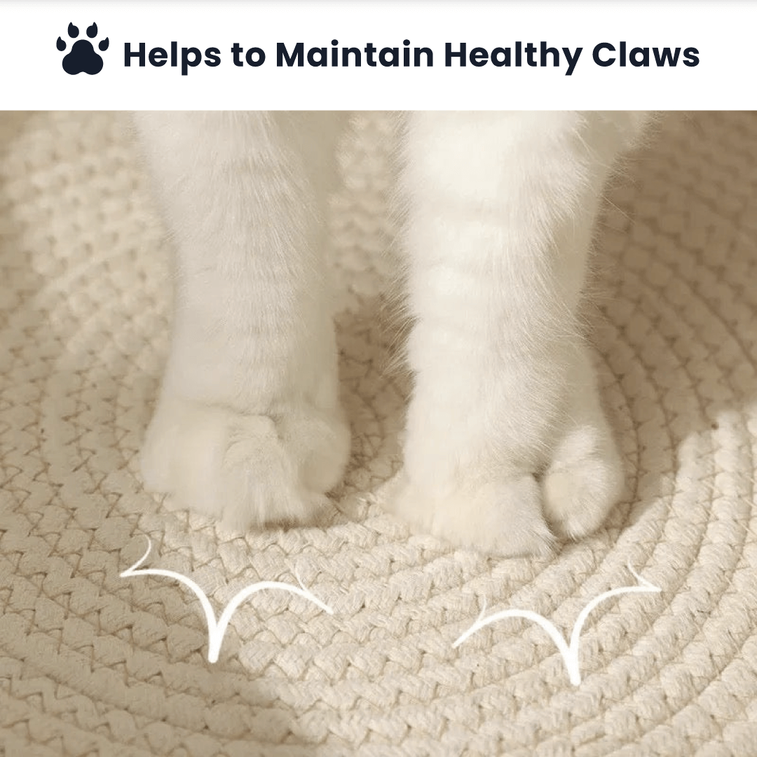 Handwoven Rope Cat Basket