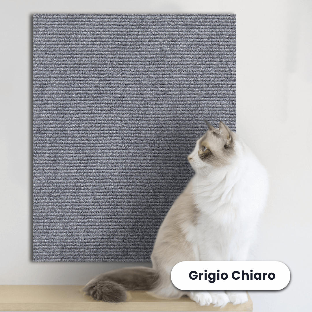 Protezione Adesiva dai Graffi dei Gatti