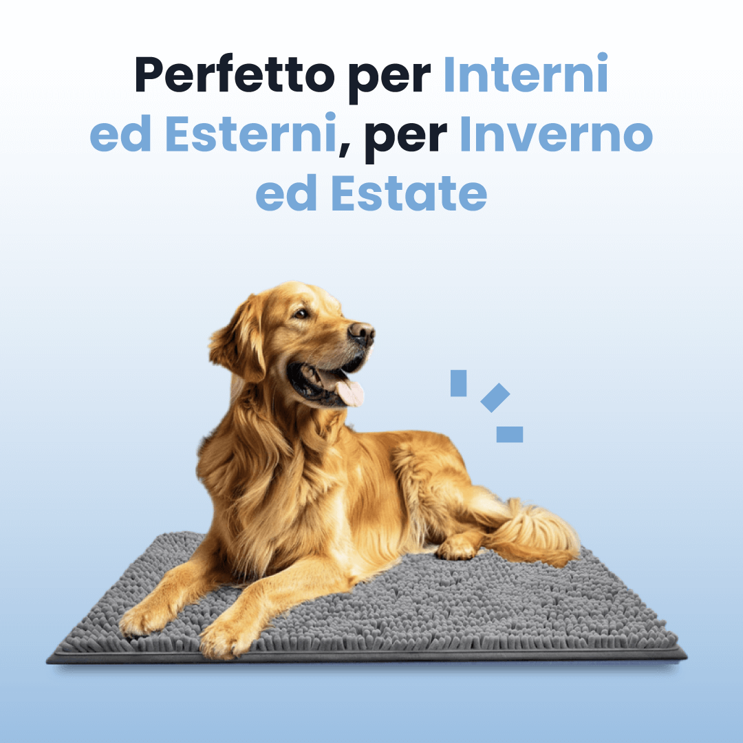 CleanPaw - Tappeto Assorbente per Cani