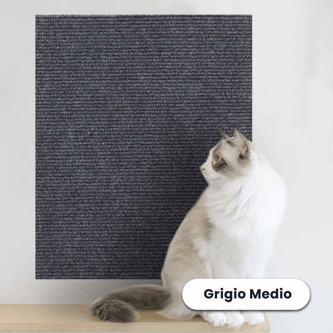 Protezione Adesiva dai Graffi dei Gatti