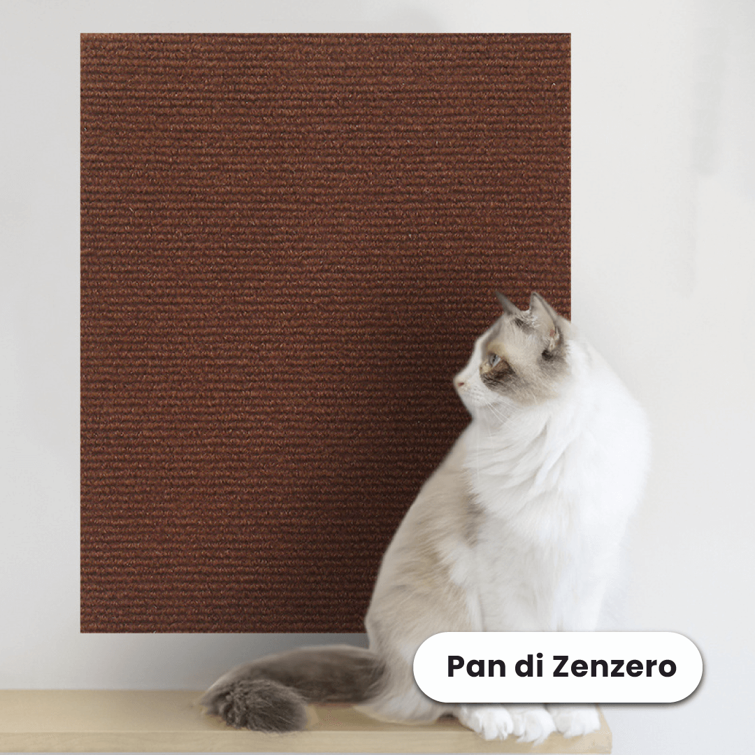 Protezione Adesiva dai Graffi dei Gatti