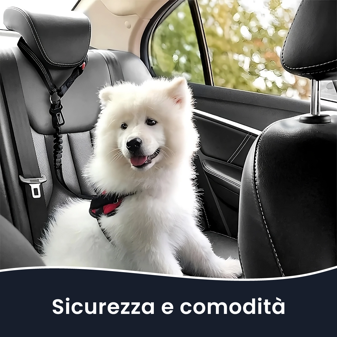 Cintura di Sicurezza per Cani - Viaggia in Sicurezza