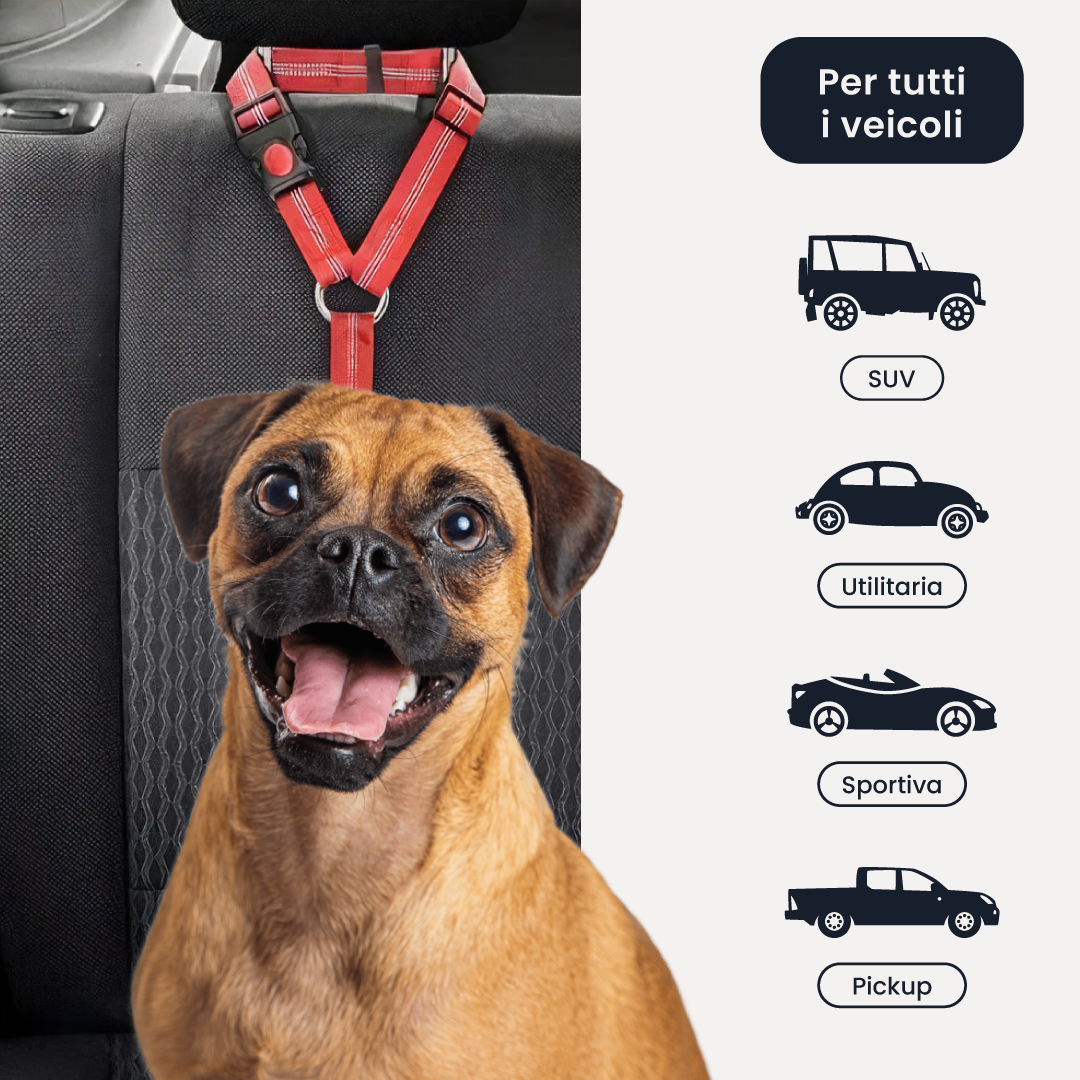 Cintura di Sicurezza per Cani - Viaggia in Sicurezza