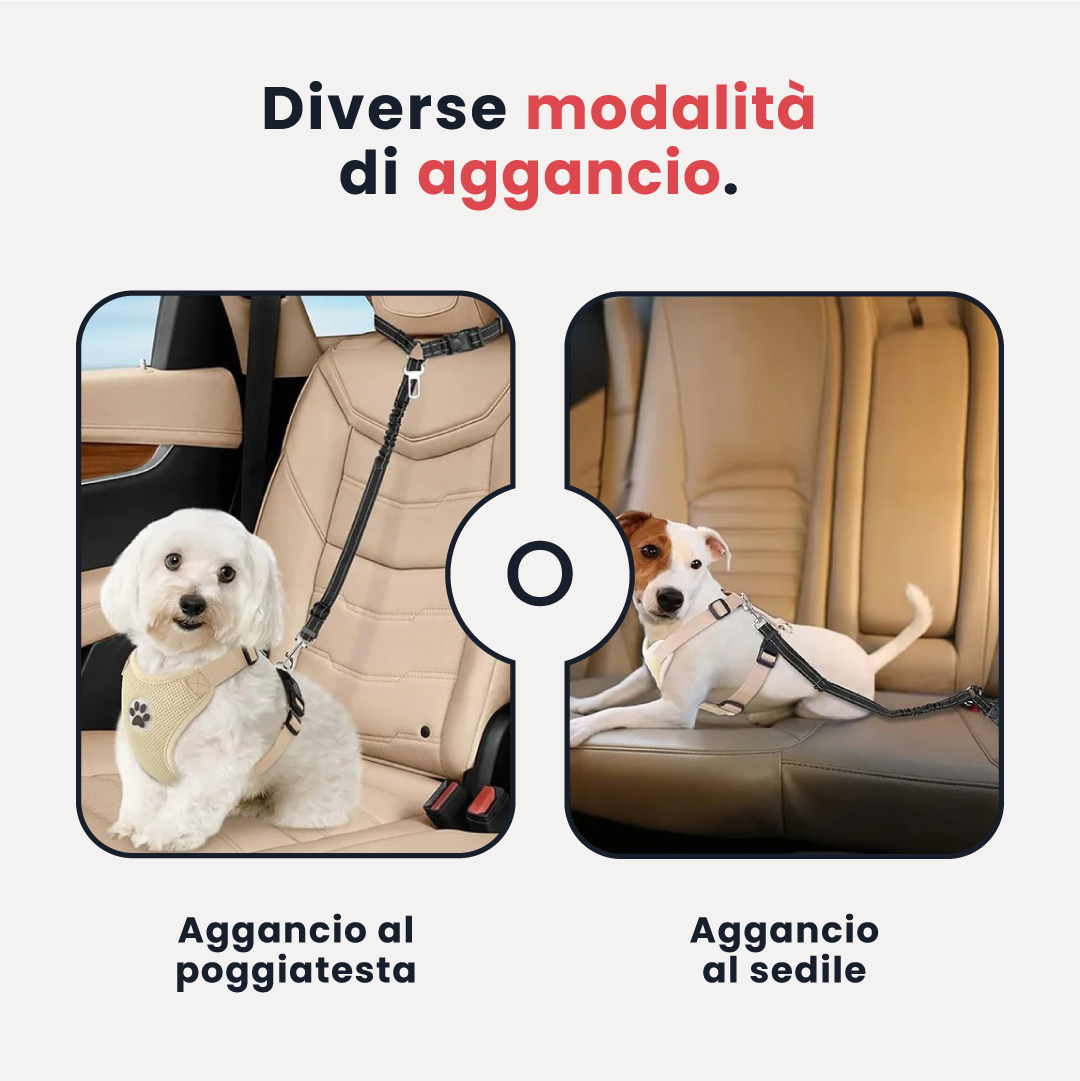 Cintura di Sicurezza per Cani - Viaggia in Sicurezza