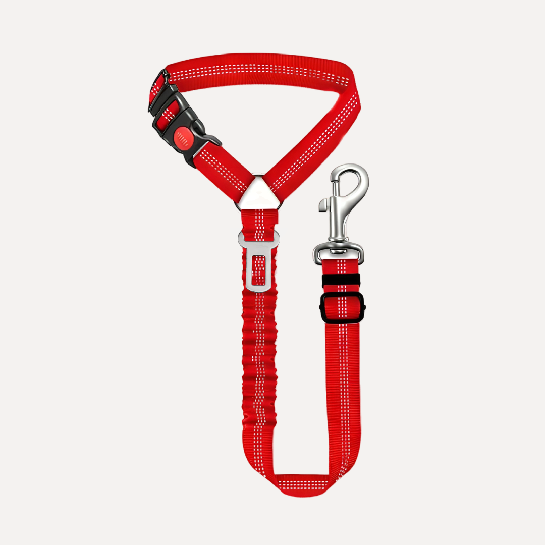 Cintura di Sicurezza per Cani - Viaggia in Sicurezza