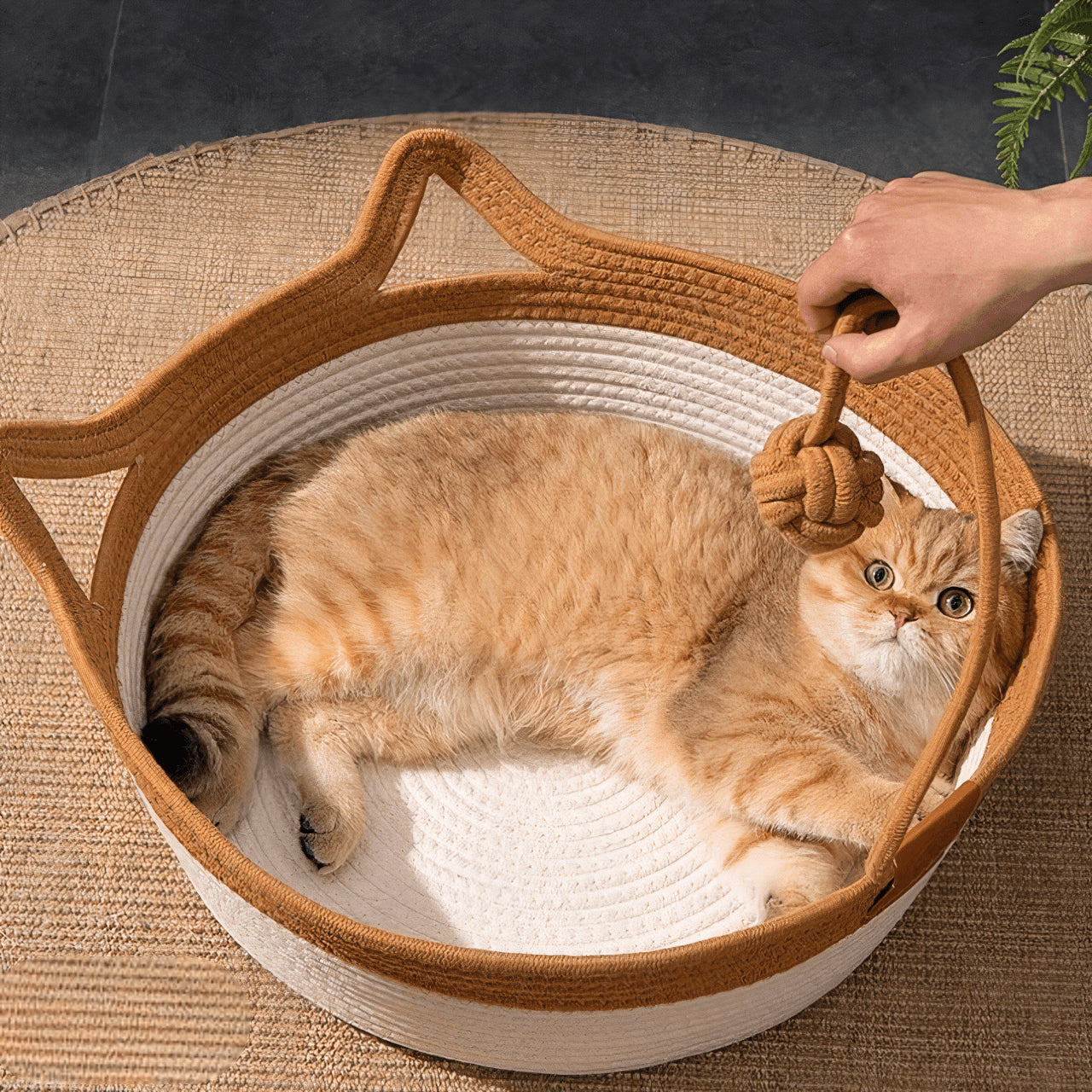 Woven Rope Cat Basket