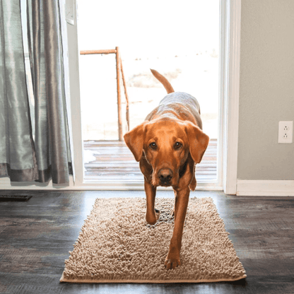 CleanPaw - Tappeto Assorbente per Cani