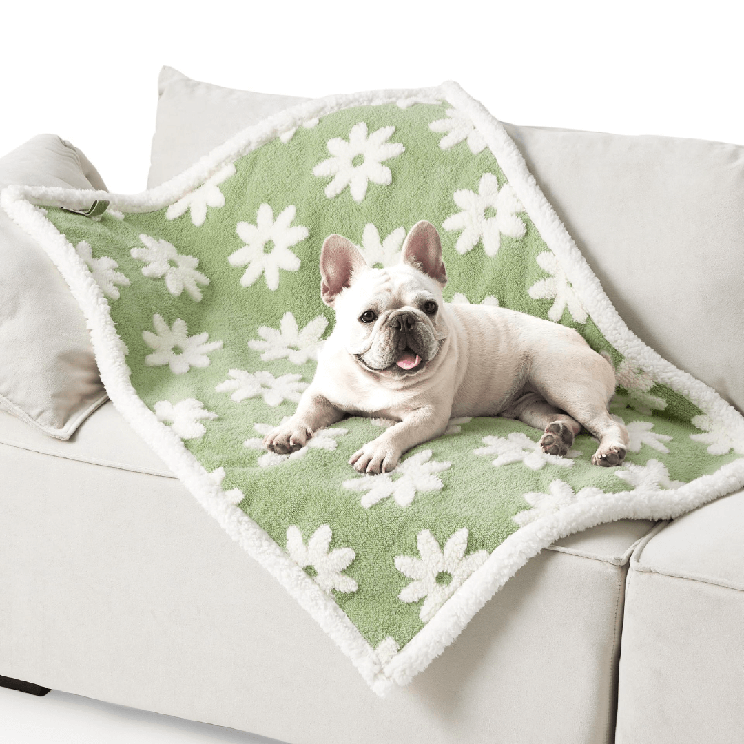 Coperta Coccolosa