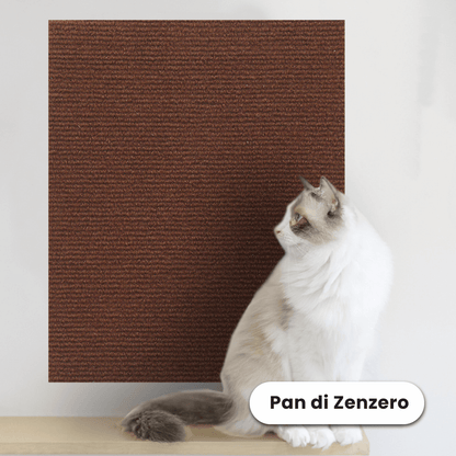 Protezione Adesiva dai Graffi dei Gatti