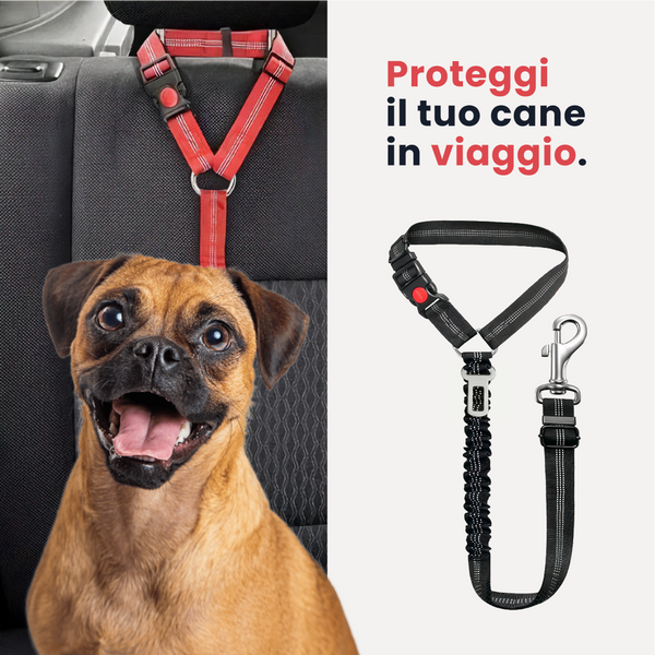 Cintura di Sicurezza per Cani - Viaggia in Sicurezza