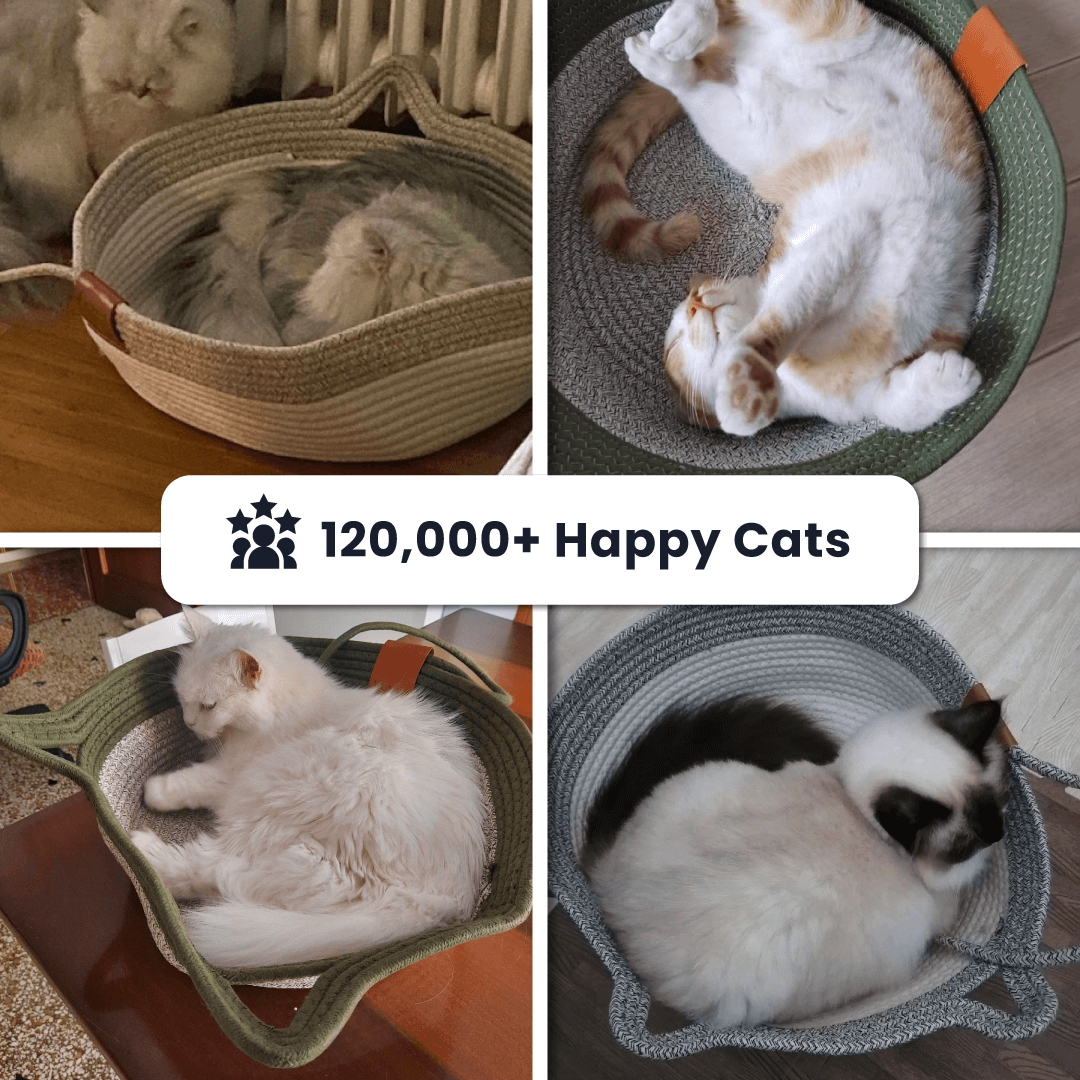 Handwoven Rope Cat Basket