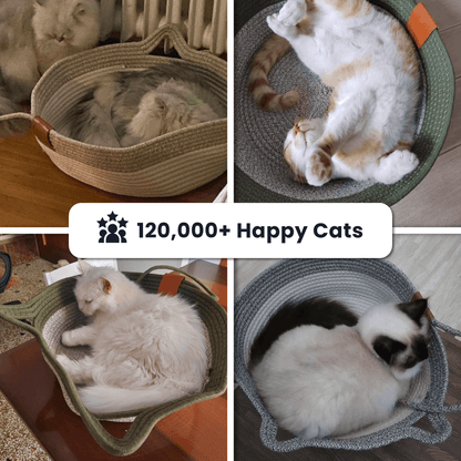 Handwoven Rope Cat Basket
