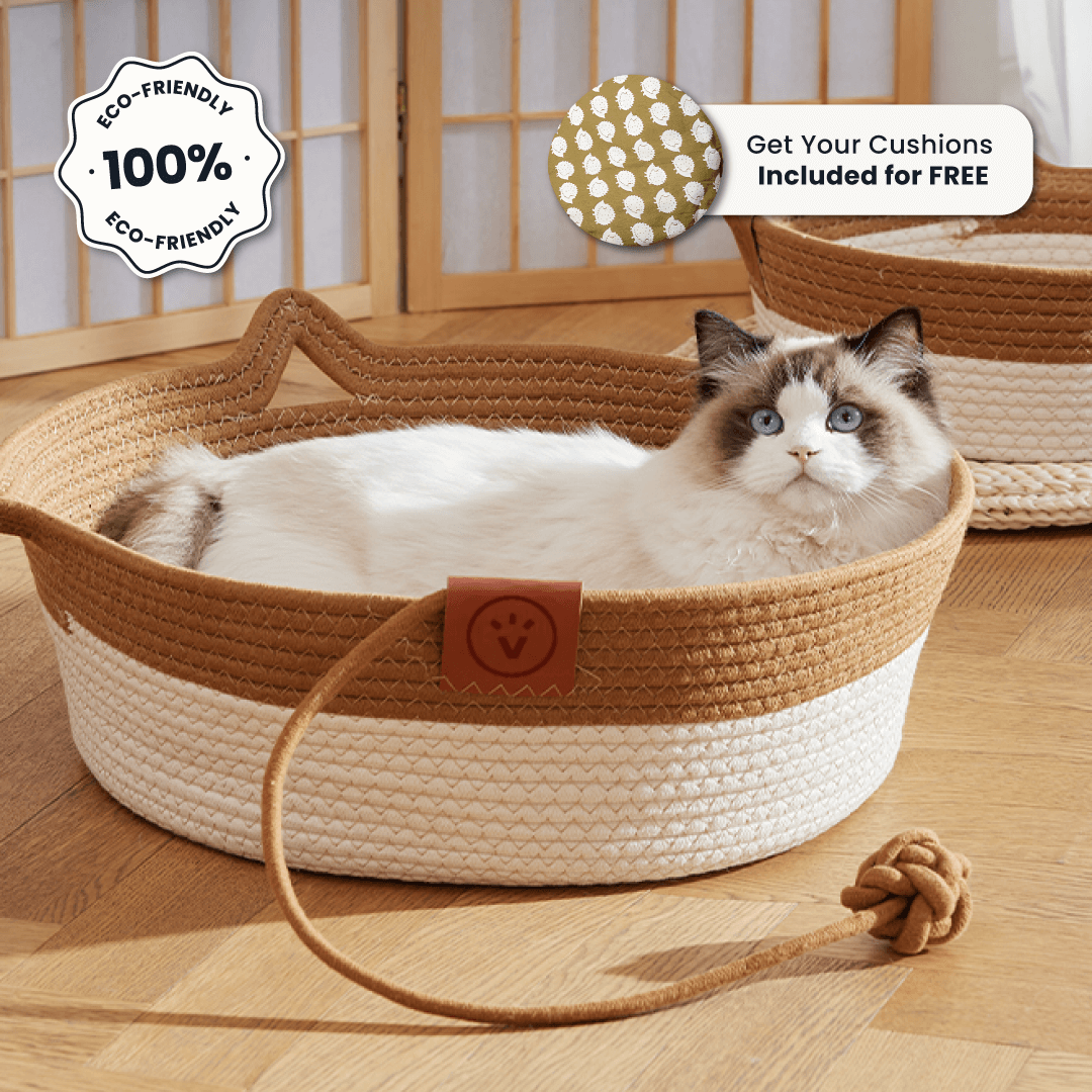 Handwoven Rope Cat Basket