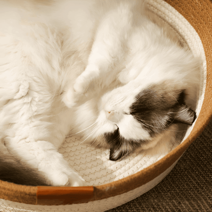 Woven Rope Cat Basket